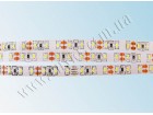LED лента 3014/120 герметичная (IP65) standart